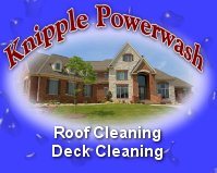 Roof Cleaning professional service